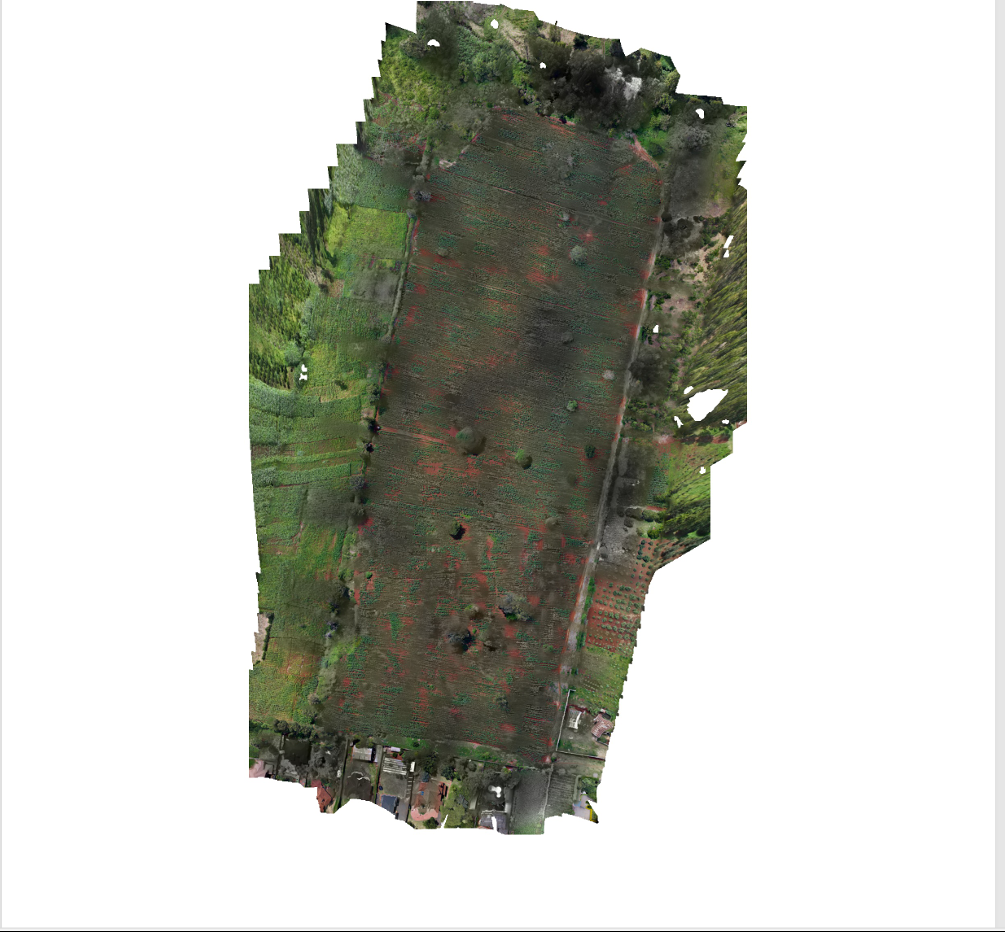 Drone Image Processing